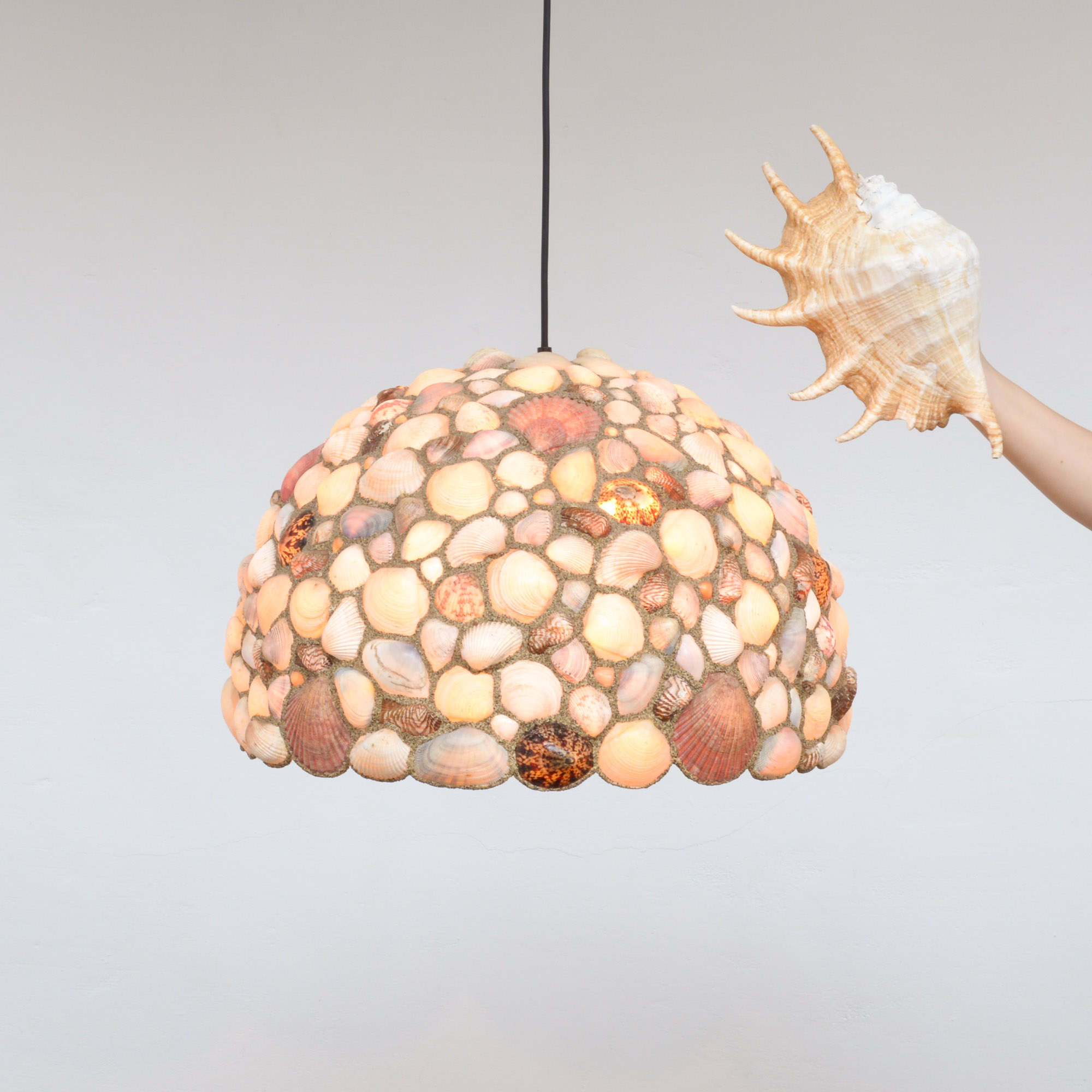 Vintage seashell store chandelier